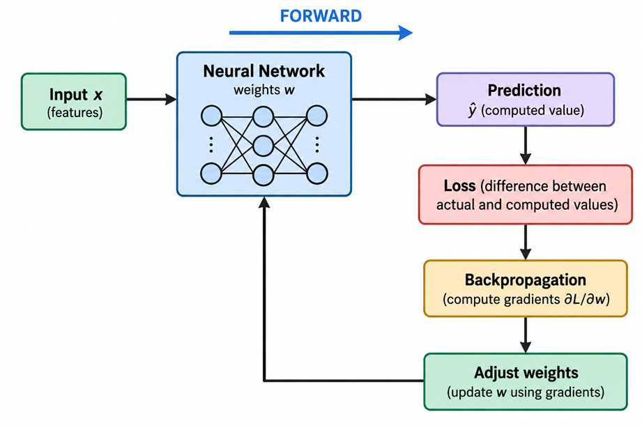 Backpropagation