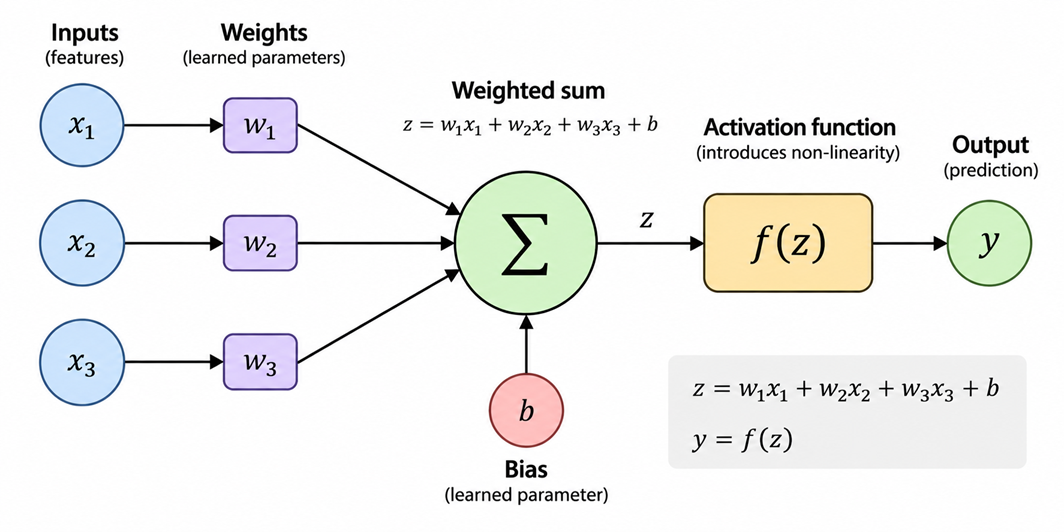 Neuron/Node