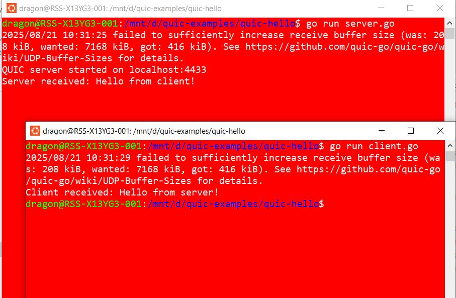 Server and Client Running
